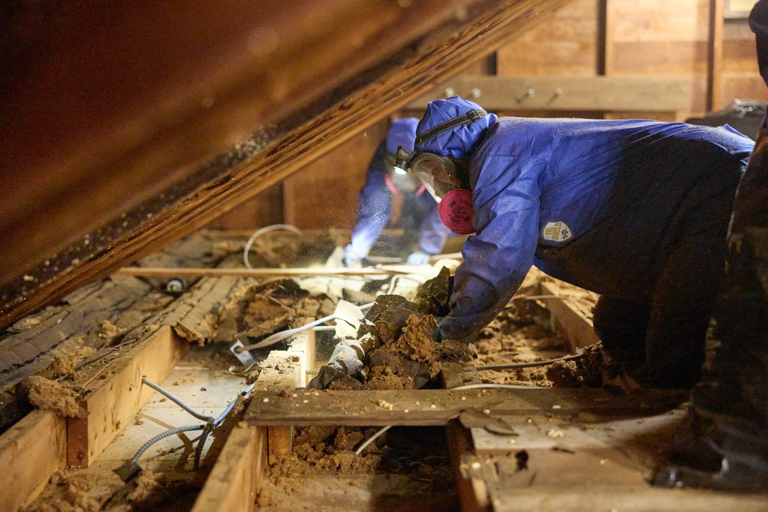 Old Insulation Removal